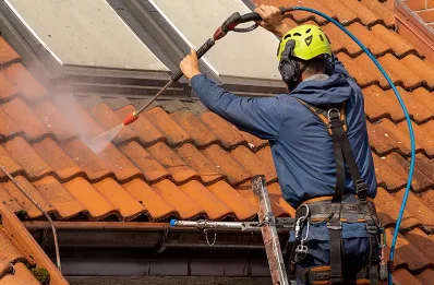 Démoussage et hydrofuge de toiture à Luzillé